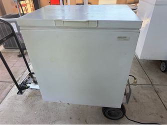 Kirkland freezer