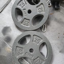 Weight Standard Plates 