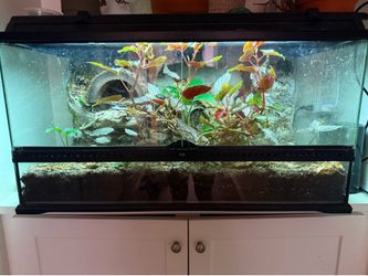 40 gallon enclosure