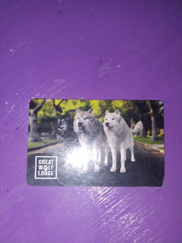 $250.00. Great Wolf Lodge Card