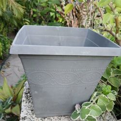House Plant Pot Plastic 11"