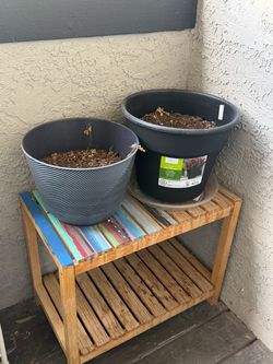 Planters - pots for plants