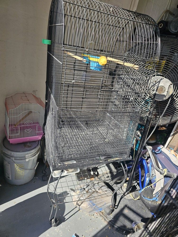 Bird Cage