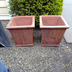 Terracotta planters