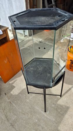 Glass aquarium.