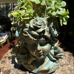 Mother’s Day Succulents Great Gift