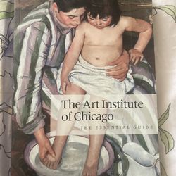  The Art Institute of Chicago: The Essential Guide By J. Wood and T. Edelstein  