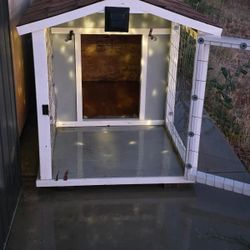 Dog Cage 