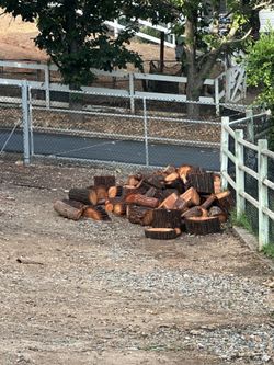 Fire Wood - Eucalyptus