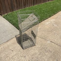 raccoons and other animals trap cage