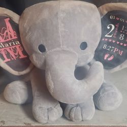 Personalized Birth Announcement 