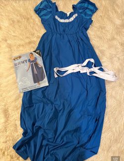Women’s Cinderella costume