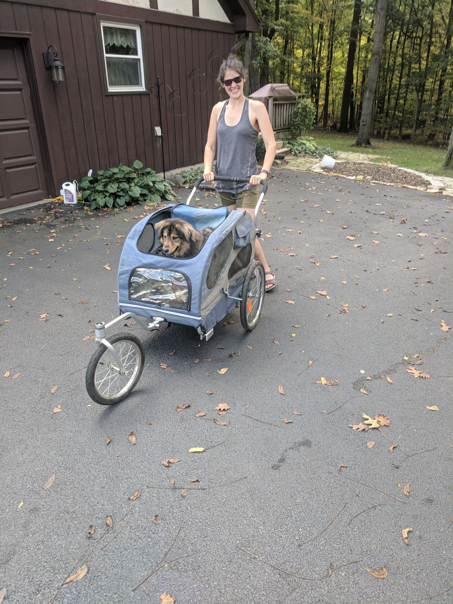 PetSafe Solvit HoundAbout Aluminum or Steel Bicycle Trailer, Bike