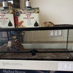 Reptile Tank 