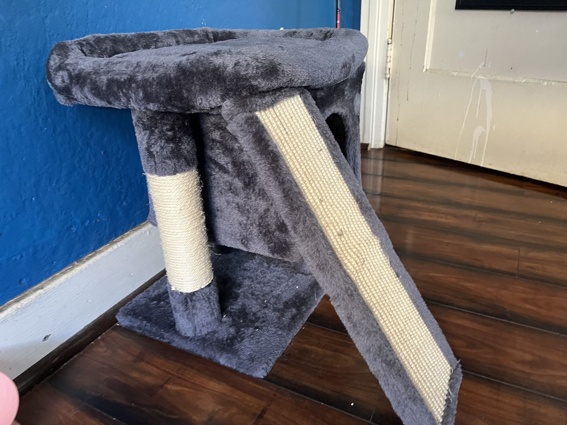 Cat House