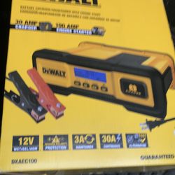 DeWalt 30 amp charger &100 amp starter