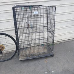 Bird cage