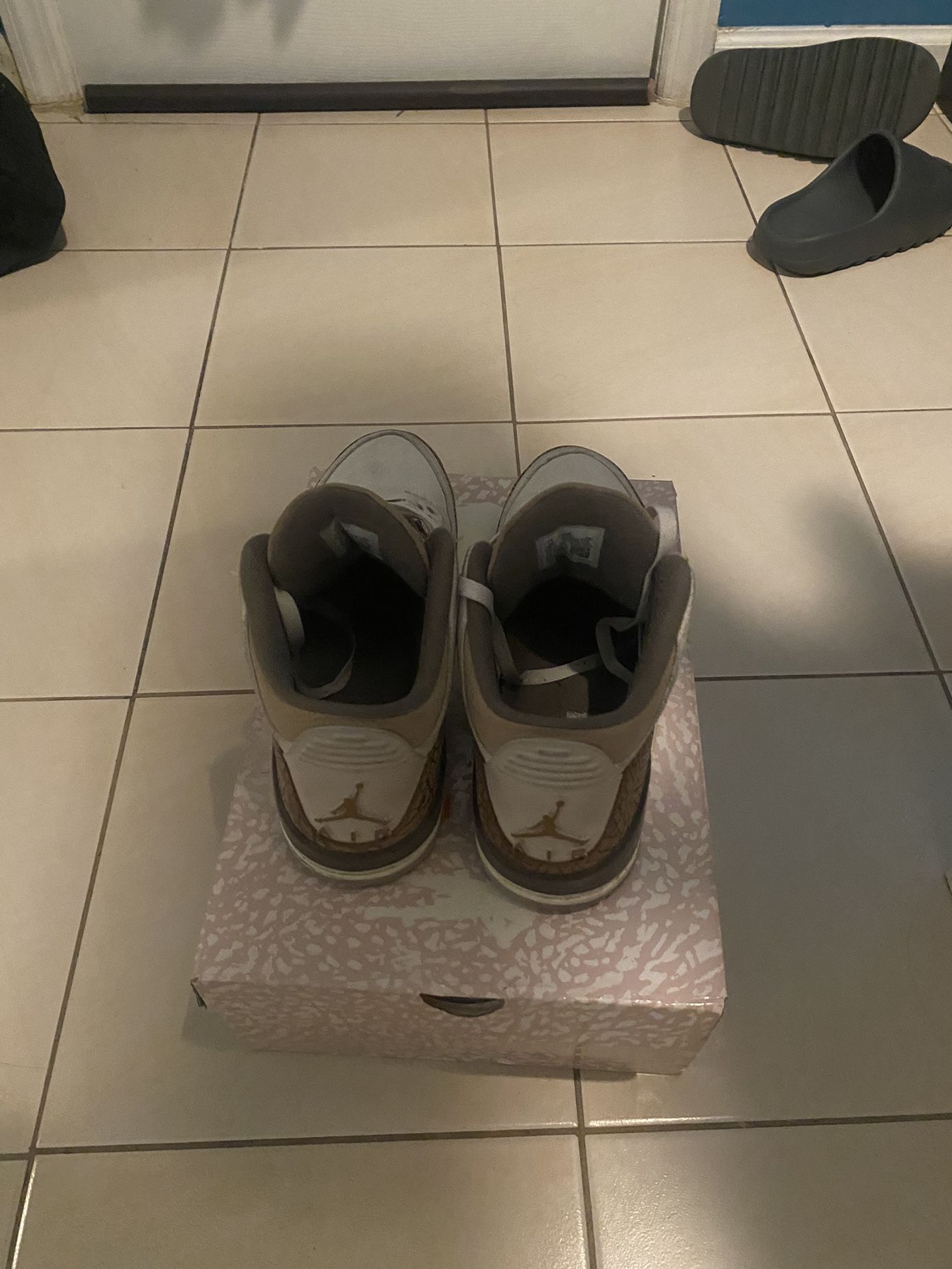 Air jordan 3 Palomino