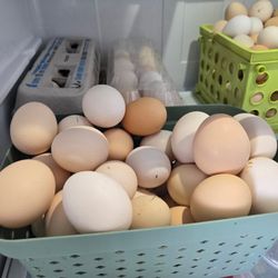 Eggs