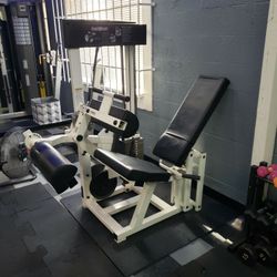 Leg Curl Machine 