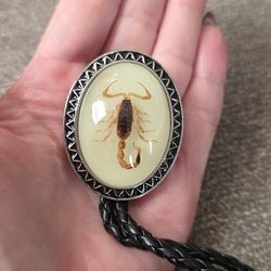 New Scorpion Bolo Tie It Glows At Night Shipping Available 