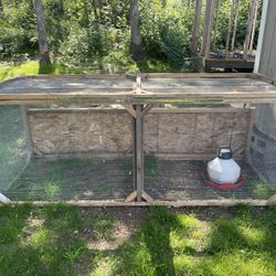 Brooder Box