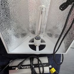 HPS lights 600w vivosun