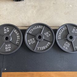 1x 45lb Standard Barbell Plate