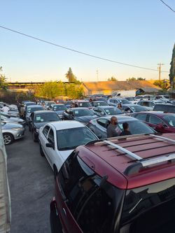 Public auctions