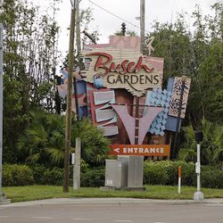 Busch Gardens Theme Park Entry 