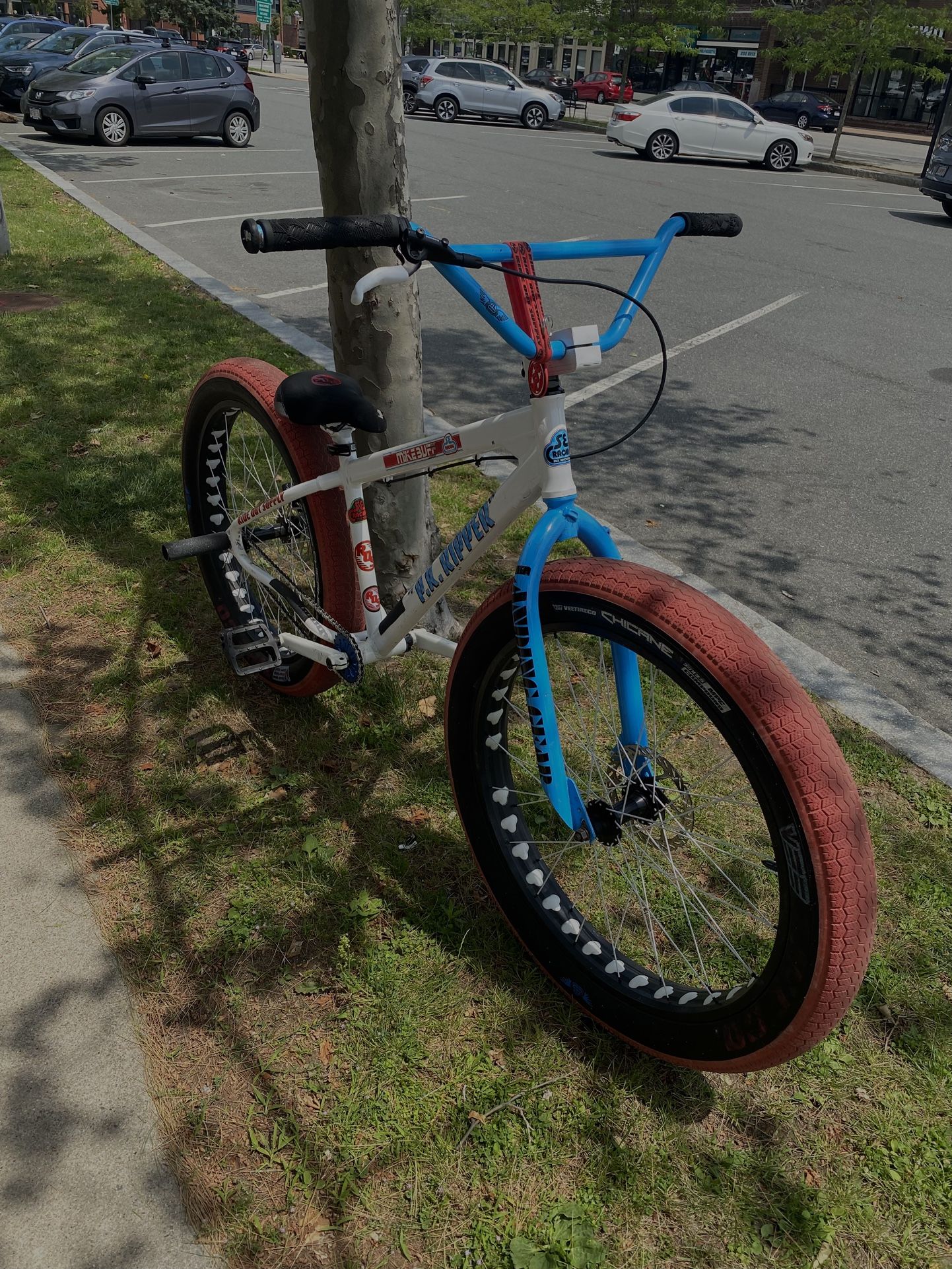 Mike Buff SE Bike