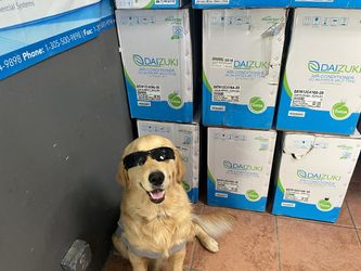 Mini Split Air Conditioners By Daizuki. Be Cool Like Sadie!