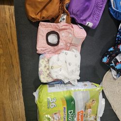 Female Dog Diapers
