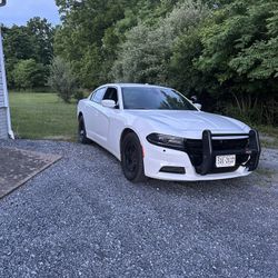 2017 Charger Pursuit