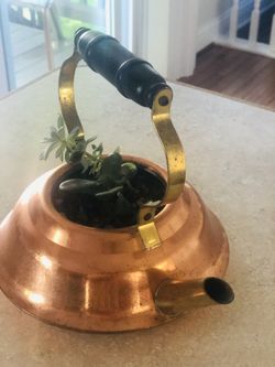 Jade & succulent In copper kettle