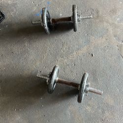 5 Lbs Dumbbells 