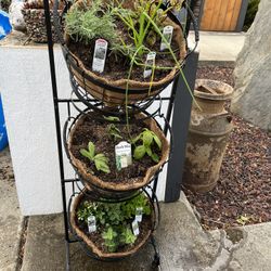Custom Herb Gardens