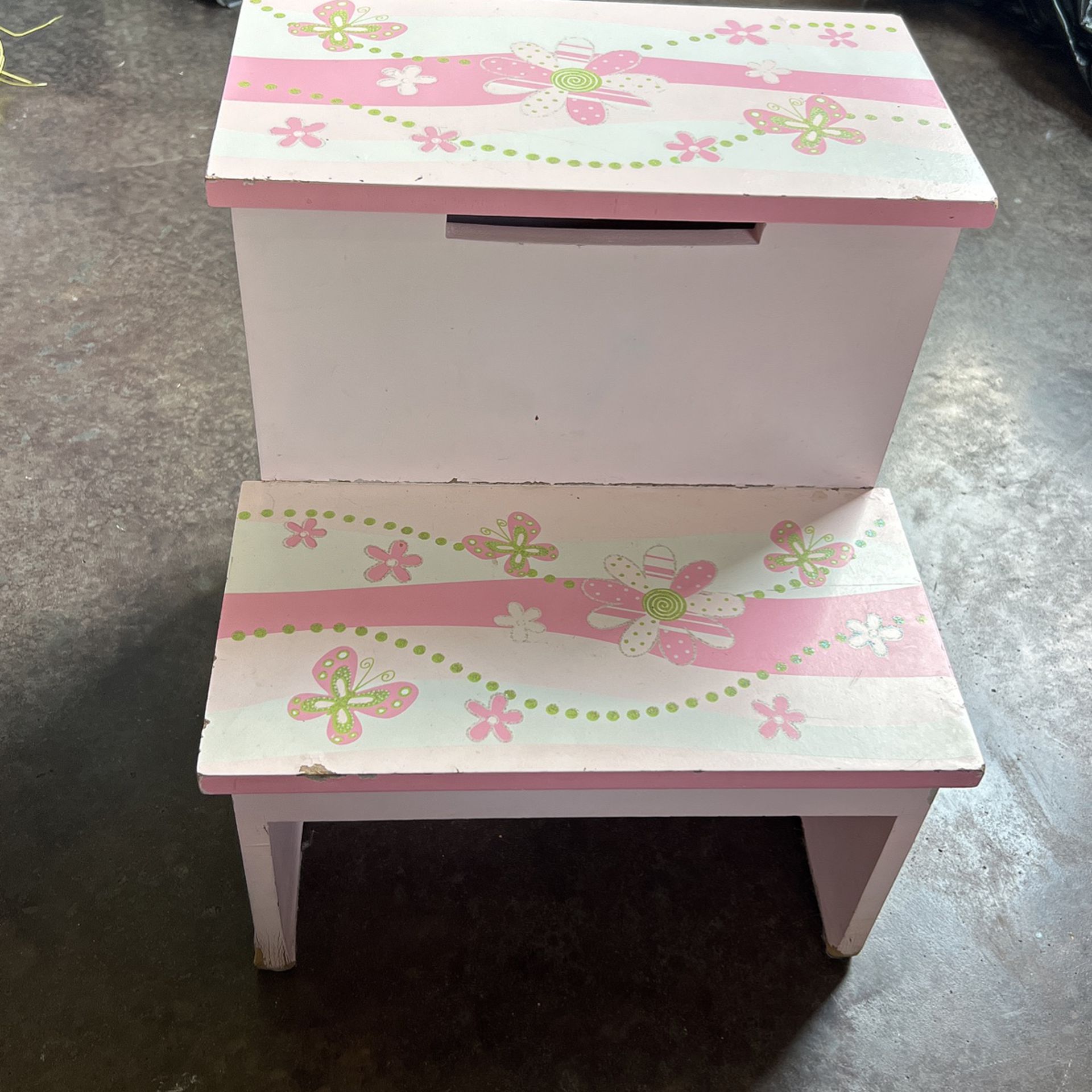 Mini Step Stool With Compartment 