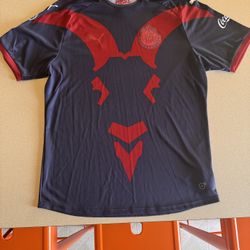 Chivas de Guadalajara 2018-2019 Soccer Jersey