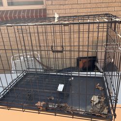 Dog Cage 