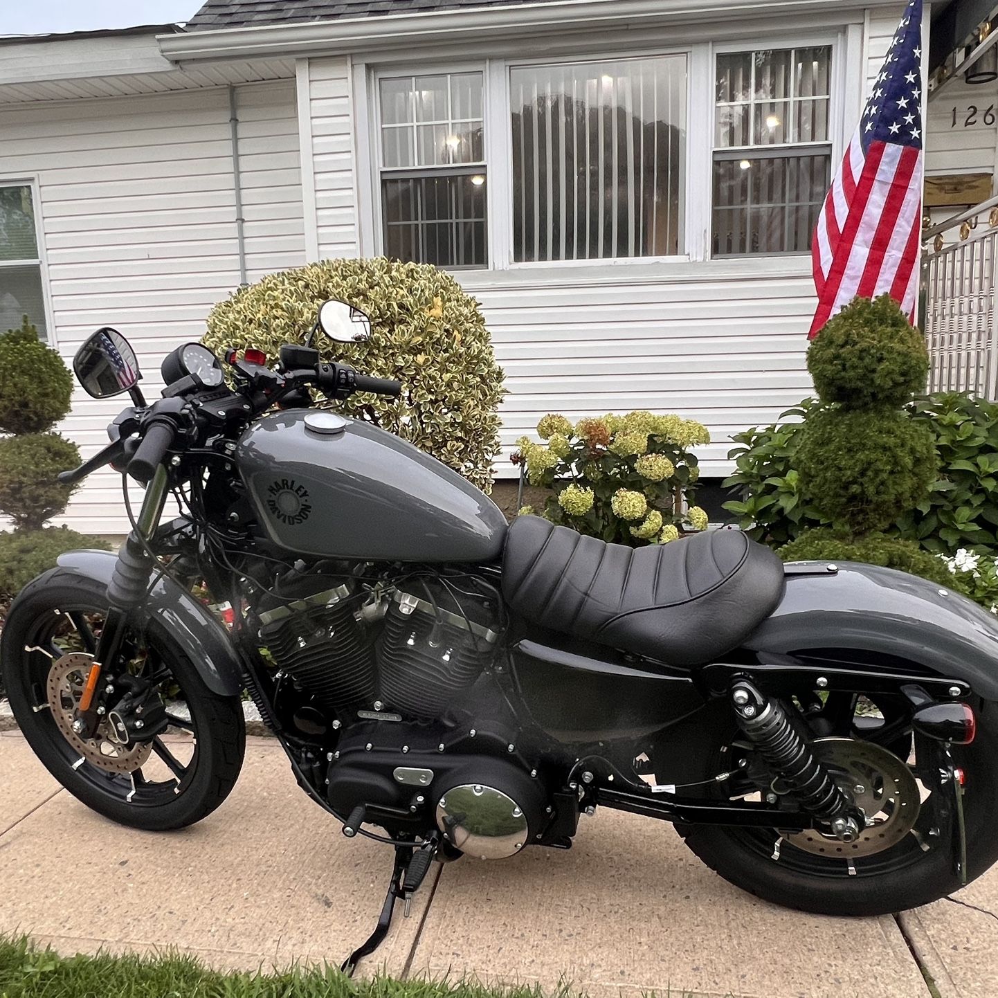 2021 Harley Davidson Iron 883