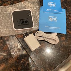 Blink Sync Module 2 / NIP 