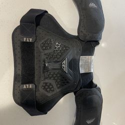 Fly Racing Peewee Roost Guard