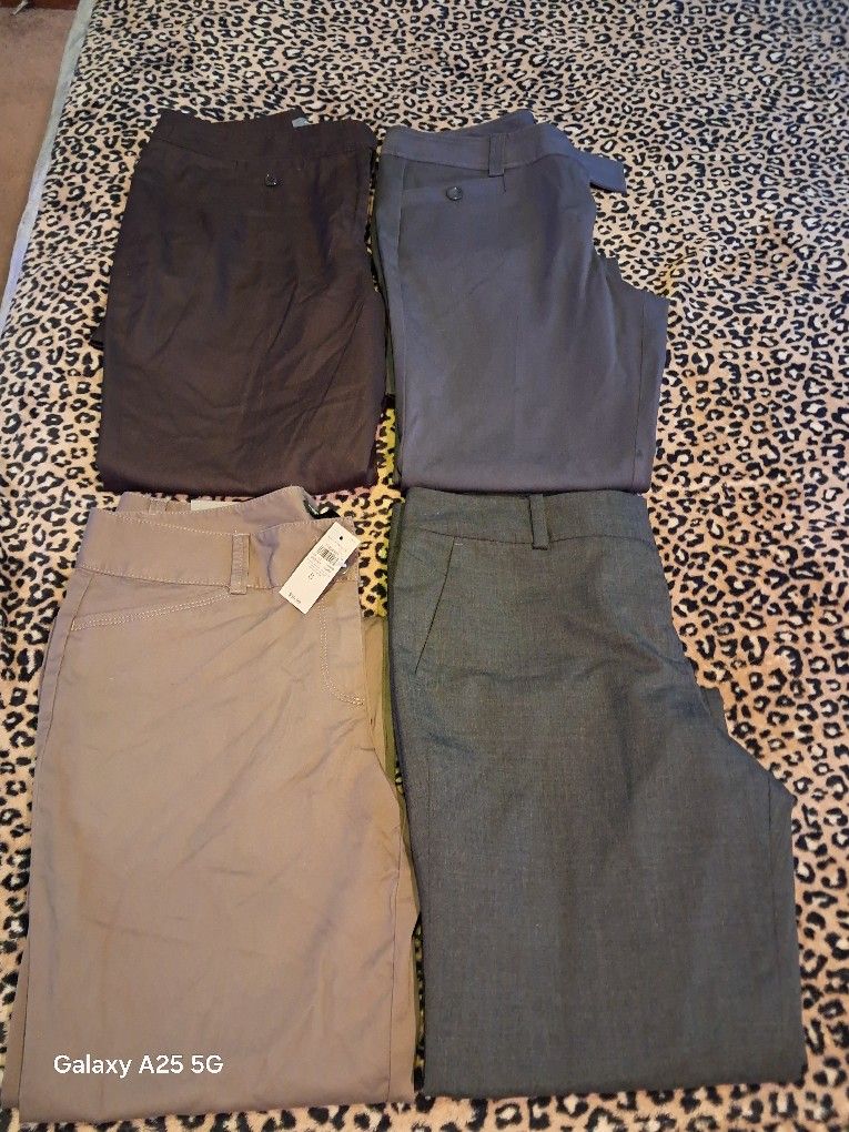 Ann Taylor Dress Pants Bundle