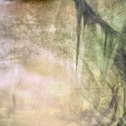 Kate Backdrop spooky forest 8 ft x 10 ft