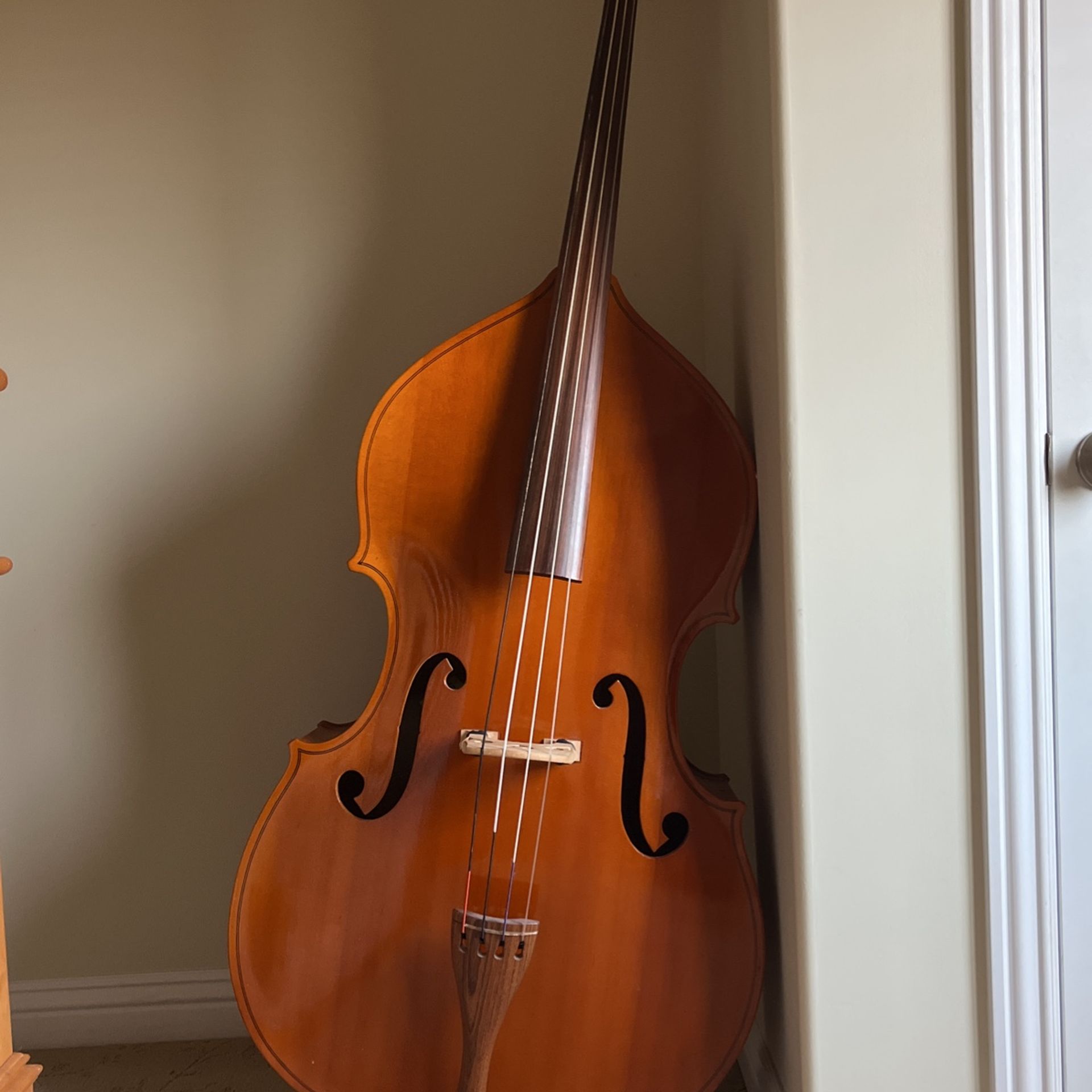 Engelhardt em1 Double Bass / Upright Bass / Stand Up Bass