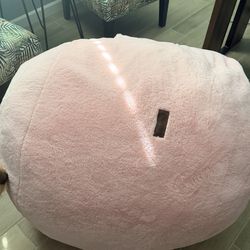 Bean Bag Chair/bed