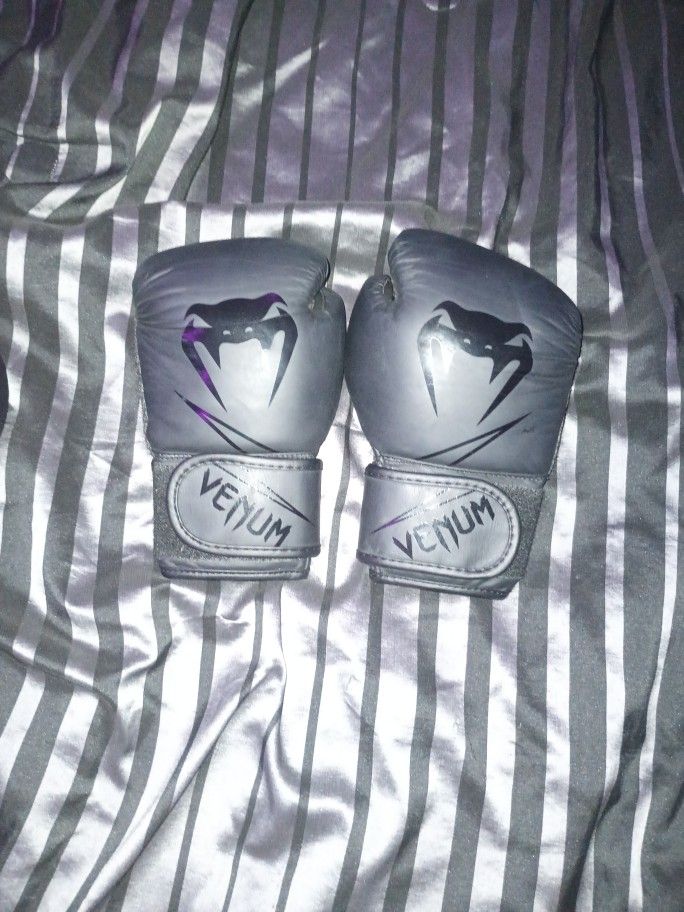 Boxing Gloves And Pads