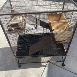 Rat Cage