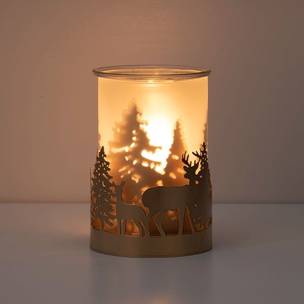 Nature's Wonders Scentsy Warmer